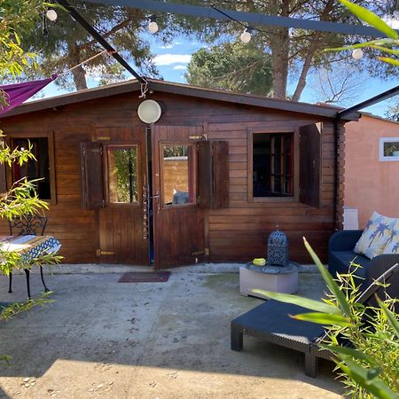 Chalet Des Oliviers 20Mn Des Plages Climatise بزييه المظهر الخارجي الصورة