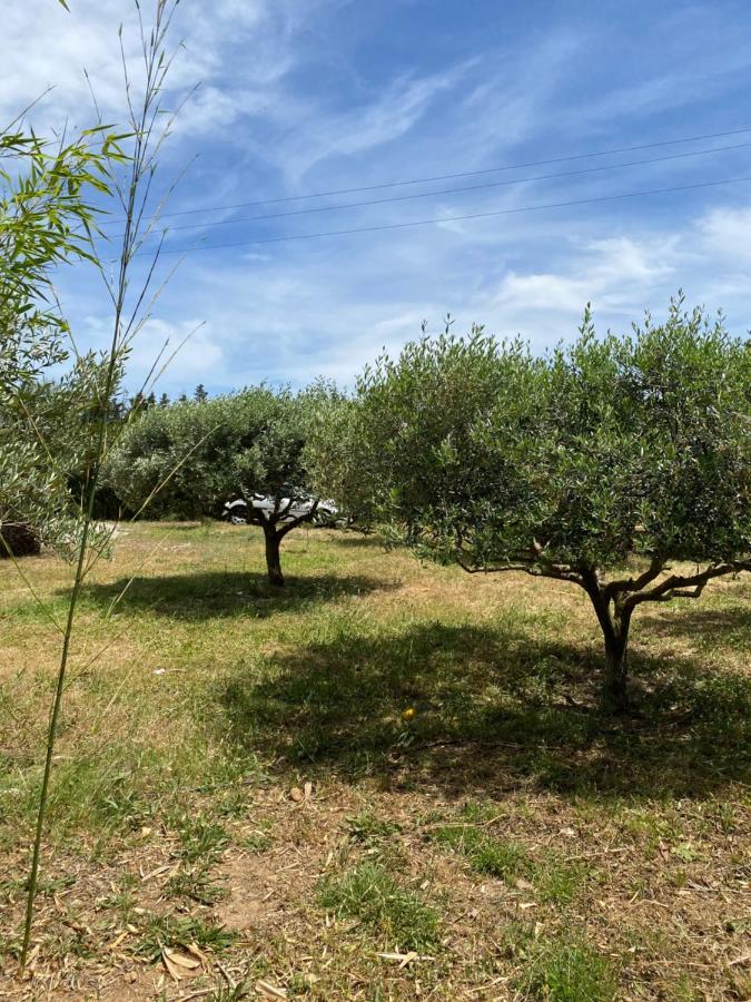 Chalet Des Oliviers 20Mn Des Plages Climatise بزييه المظهر الخارجي الصورة