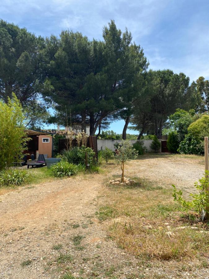 Chalet Des Oliviers 20Mn Des Plages Climatise بزييه المظهر الخارجي الصورة