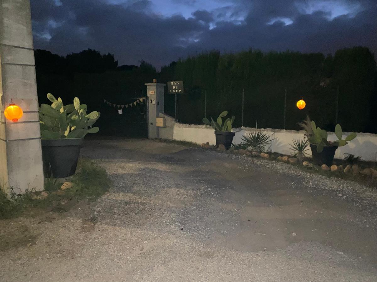 Chalet Des Oliviers 20Mn Des Plages Climatise بزييه المظهر الخارجي الصورة